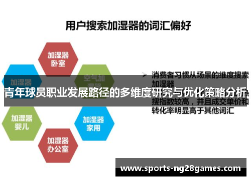 青年球员职业发展路径的多维度研究与优化策略分析