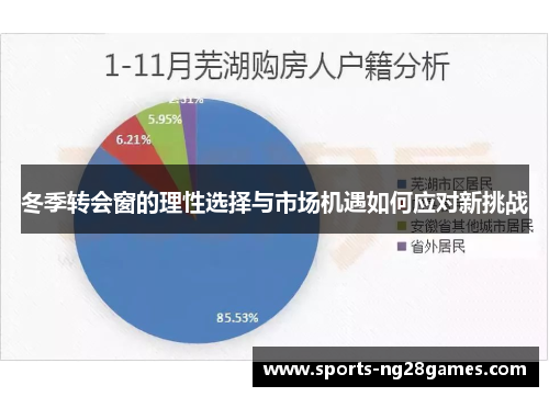 冬季转会窗的理性选择与市场机遇如何应对新挑战