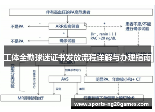工体全勤球迷证书发放流程详解与办理指南