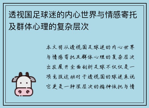 透视国足球迷的内心世界与情感寄托及群体心理的复杂层次
