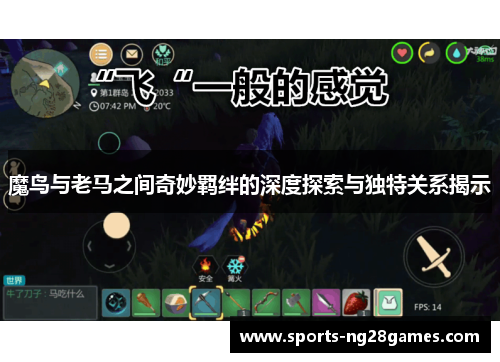 魔鸟与老马之间奇妙羁绊的深度探索与独特关系揭示