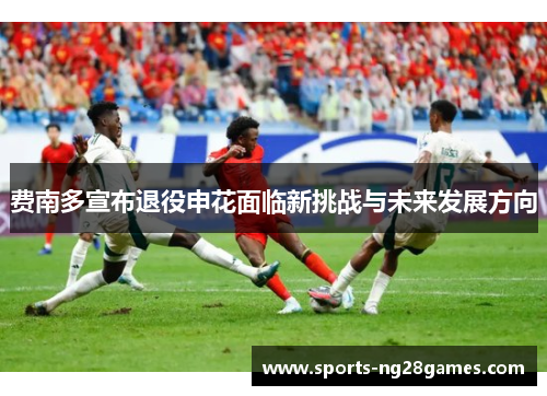 费南多宣布退役申花面临新挑战与未来发展方向