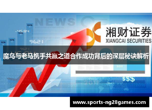 魔鸟与老马携手共赢之道合作成功背后的深层秘诀解析
