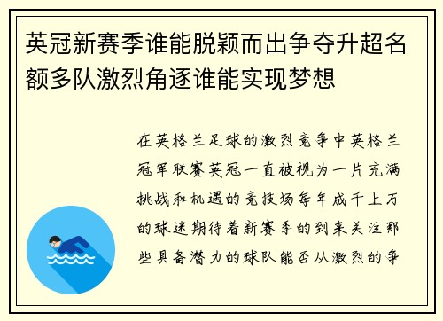 英冠新赛季谁能脱颖而出争夺升超名额多队激烈角逐谁能实现梦想