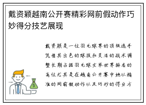 戴资颖越南公开赛精彩网前假动作巧妙得分技艺展现