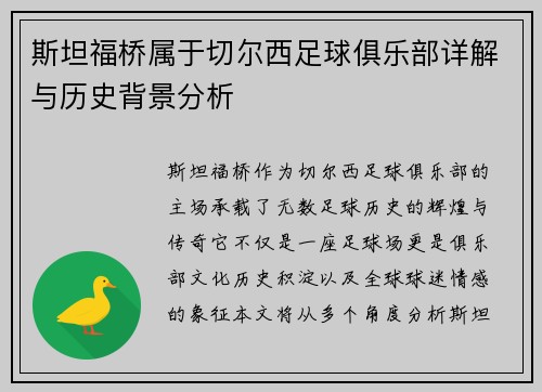 斯坦福桥属于切尔西足球俱乐部详解与历史背景分析